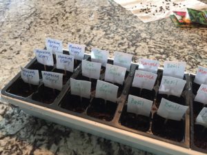 seeds name tags