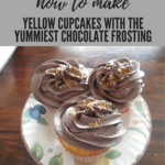 Yellow Cupcakes with Chocolate Frosting