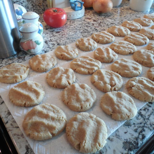 Disneyland's Peanut Butter Cookies - Retired Introvert