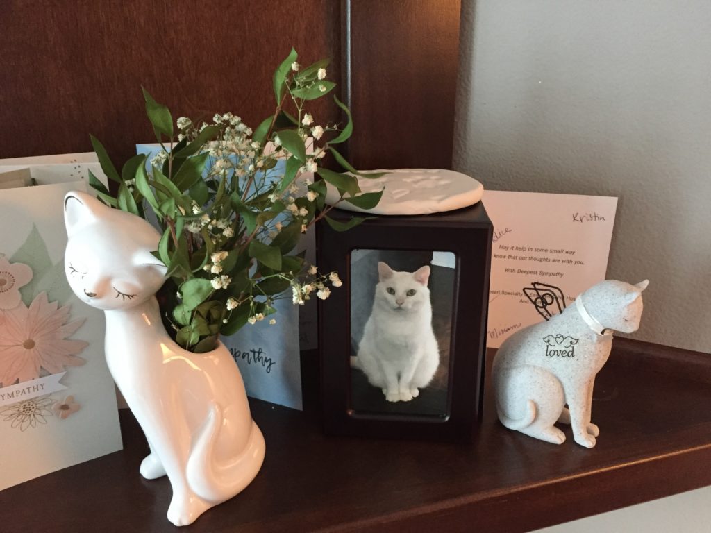 cat memorial