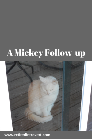 Mickey follow up