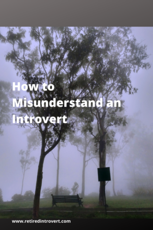 How to Misunderstand an Introvert