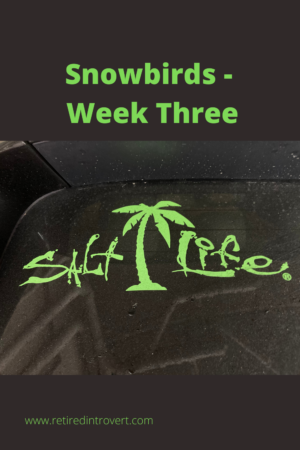 Snowbirds - Week Three