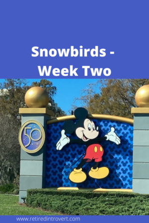 Snowbirds - Week Two