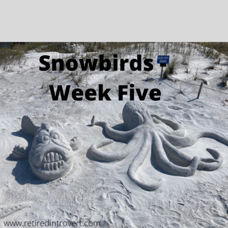 Snowbirds - Week Five