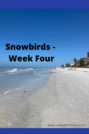 Snowbirds - Week Four