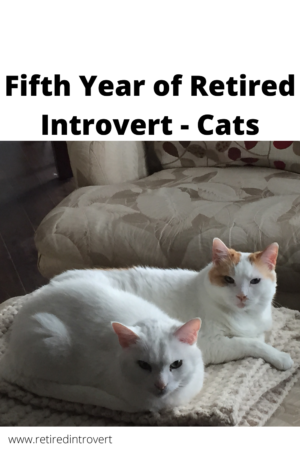 Fifth Year of Retired Introvert - Cats