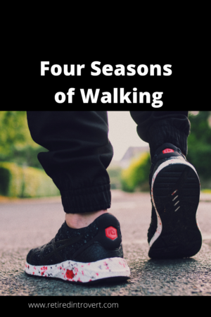 Four Seasons of Walking
