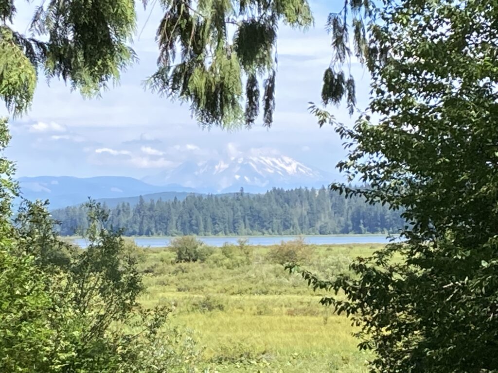 Mt St Helens